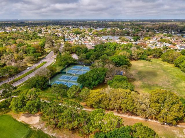 11310 GLENMONT DRIVE, Tampa, FL 33635