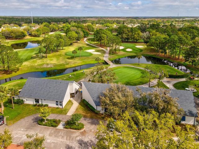 11310 GLENMONT DRIVE, Tampa, FL 33635