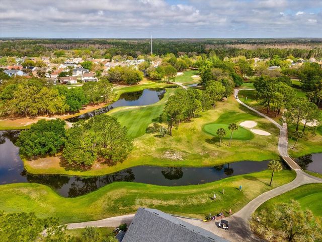 11310 GLENMONT DRIVE, Tampa, FL 33635