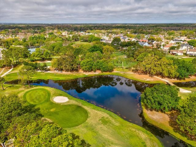 11310 GLENMONT DRIVE, Tampa, FL 33635