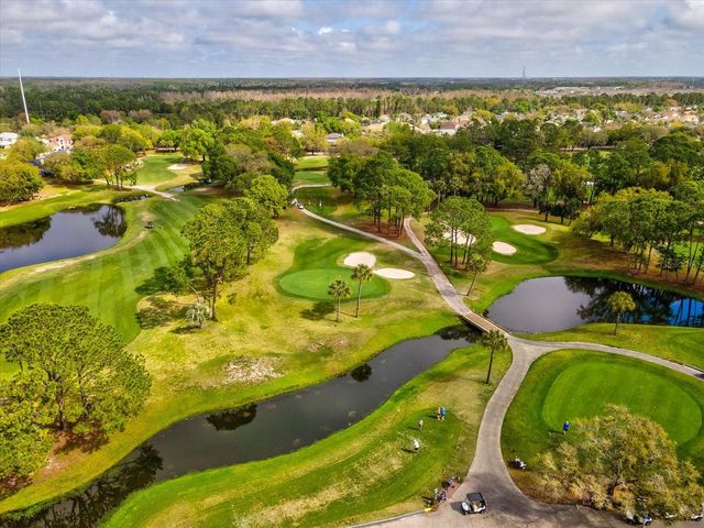 11310 GLENMONT DRIVE, Tampa, FL 33635