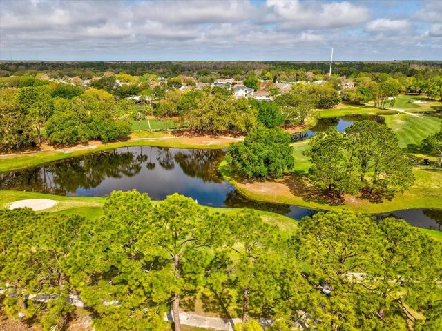 11310 GLENMONT DRIVE, Tampa, FL 33635