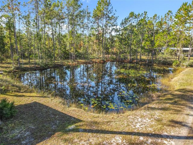 6100 WINNING WOOD TRAIL, De Leon Springs, FL 32130