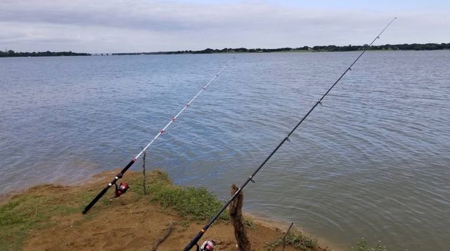 1728 Flamingo Drive, Little Elm, TX 75068