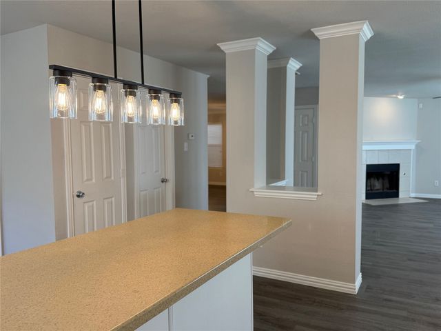 1728 Flamingo Drive, Little Elm, TX 75068