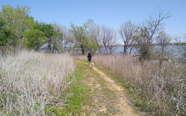 1728 Flamingo Drive, Little Elm, TX 75068