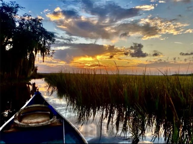 1090 Goldfinch Loop NE, Townsend, GA 31331