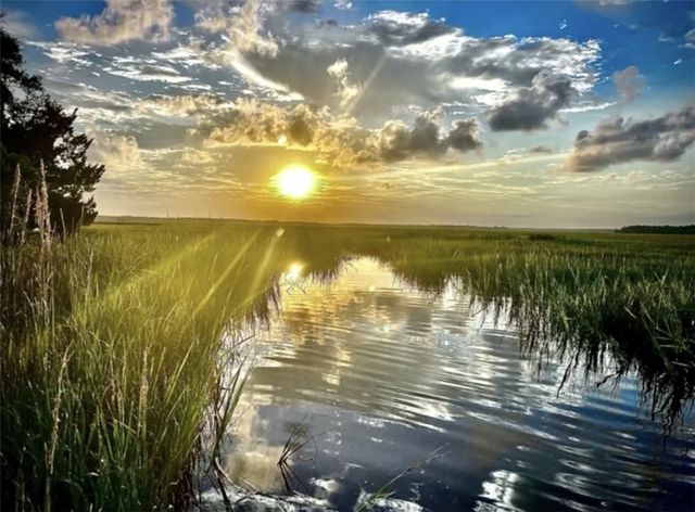 1090 Goldfinch Loop NE, Townsend, GA 31331