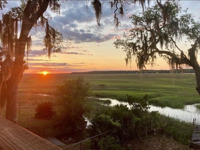 1090 Goldfinch Loop NE, Townsend, GA 31331