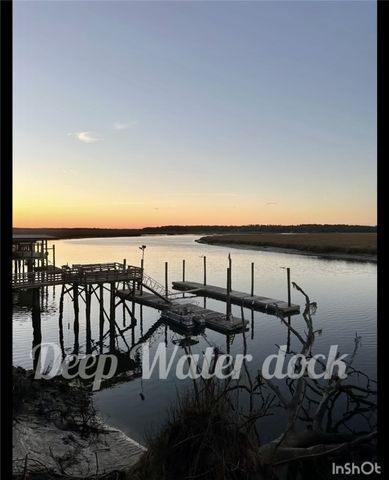 1090 Goldfinch Loop NE, Townsend, GA 31331