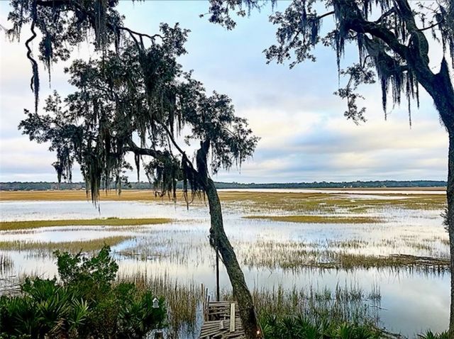 1090 Goldfinch Loop NE, Townsend, GA 31331