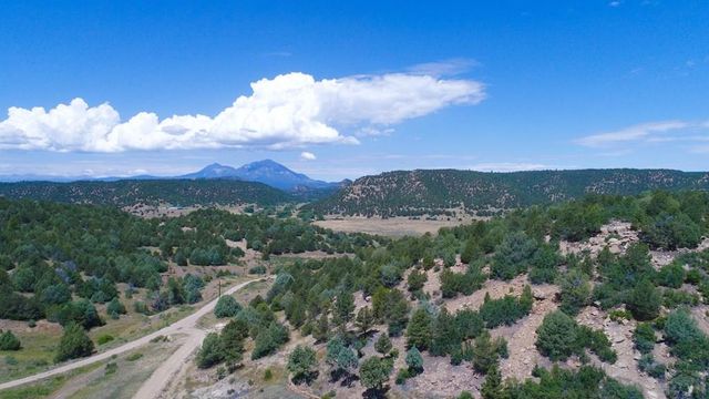 25850 River Pines Rd, Aguilar, CO 81020