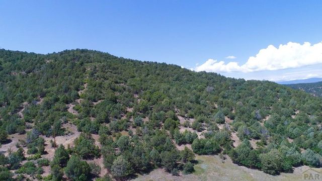 25850 River Pines Rd, Aguilar, CO 81020