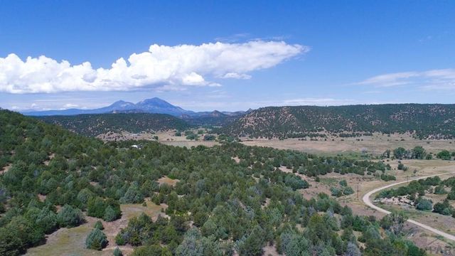 25850 River Pines Rd, Aguilar, CO 81020