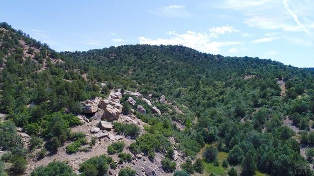 25850 River Pines Rd, Aguilar, CO 81020