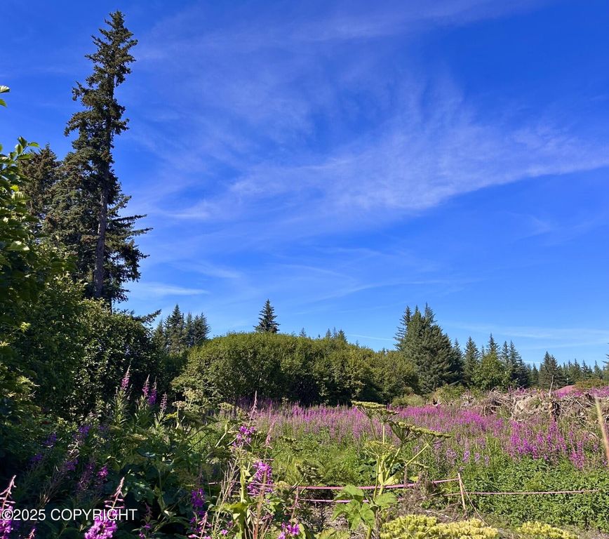 72278 Valleyside Avenue, Anchor Point, AK 99556