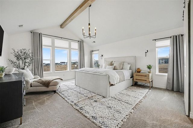 16782 W 95th Lane, Arvada, CO 80007