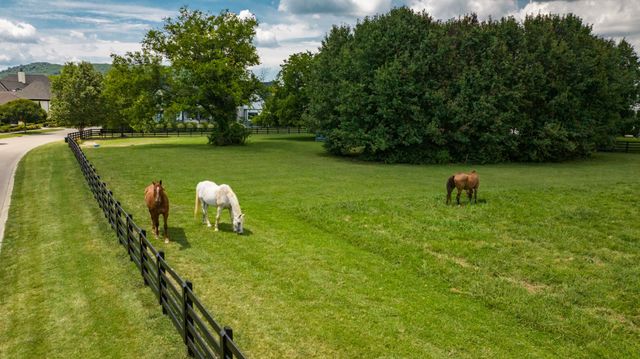 8906 Dovetail Ct, College Grove, TN 37046