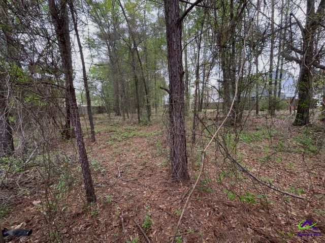 108 Dog Fennel Lane, Perry, GA 31069
