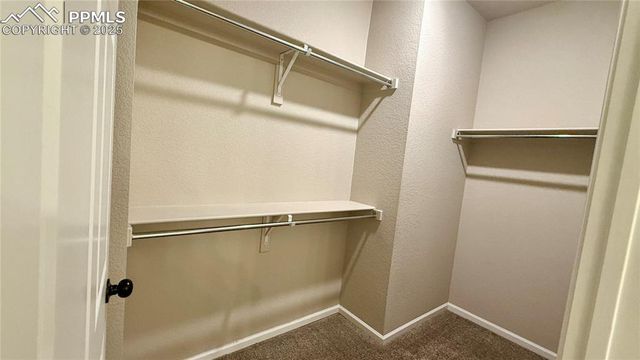 6742 Golden Briar Lane, Colorado Springs, CO 80927