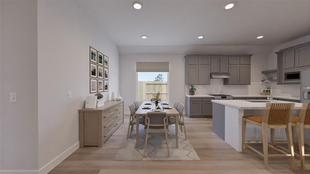 29054 Bison Haven Drive, Hockley, TX 77447