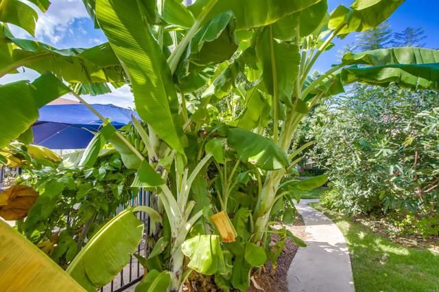 11187 Kelowna Rd 76, San Diego, CA 92126