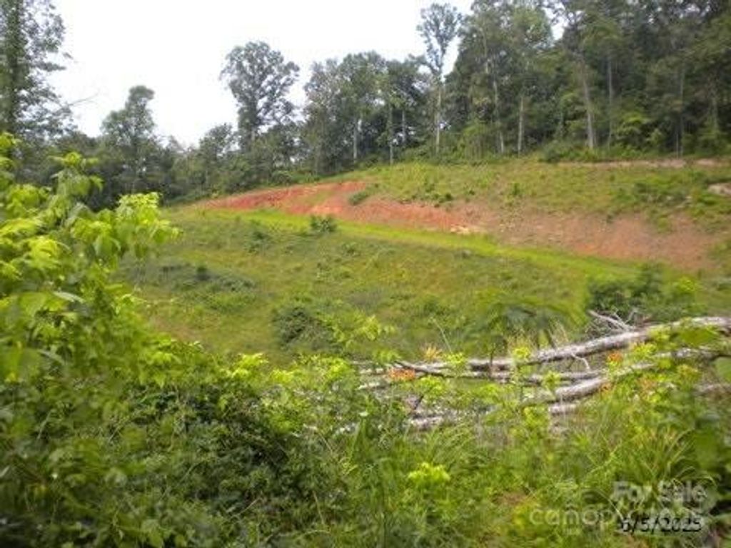 12 Weaver Hill Road 4, Asheville, NC 28805