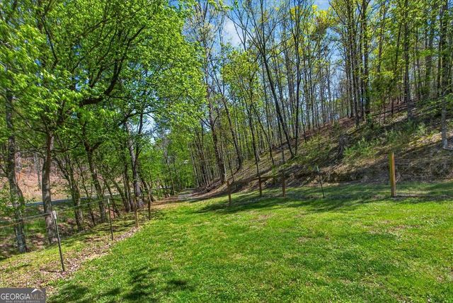 7433 Nicklesville Road NE, Ranger, GA 30734