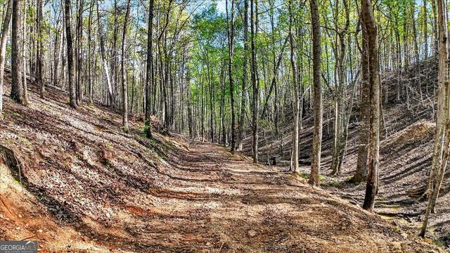 7433 Nicklesville Road NE, Ranger, GA 30734