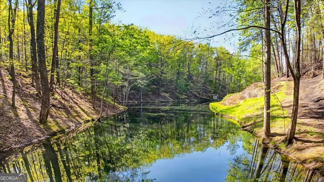 7433 Nicklesville Road NE, Ranger, GA 30734
