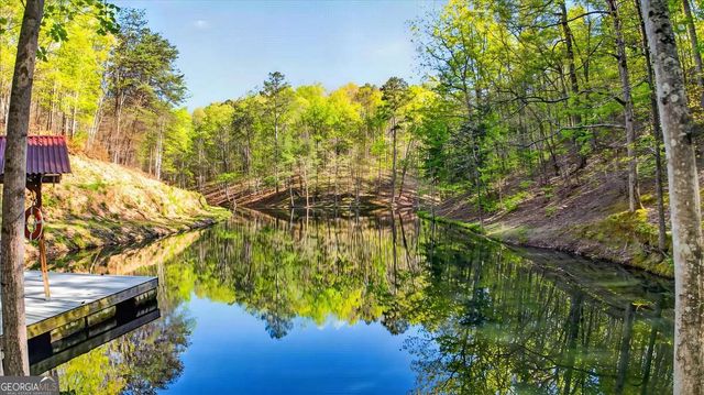 7433 Nicklesville Road NE, Ranger, GA 30734