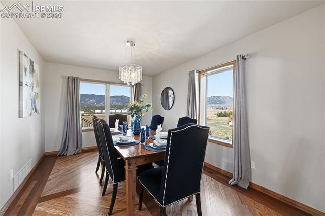 715 Struthers Loop, Colorado Springs, CO 80921