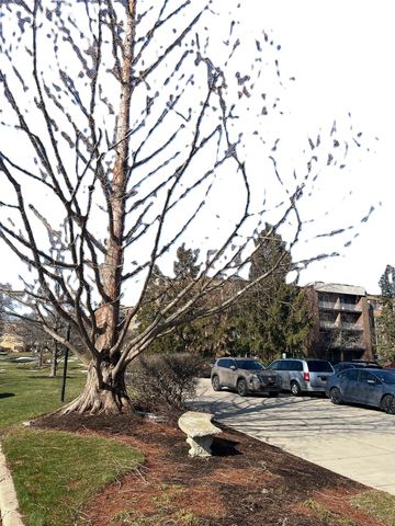 245 S Park Lane 424, Palatine, IL 60074