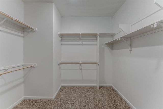 4510 Red Yucca Drive, Baytown, TX 77521