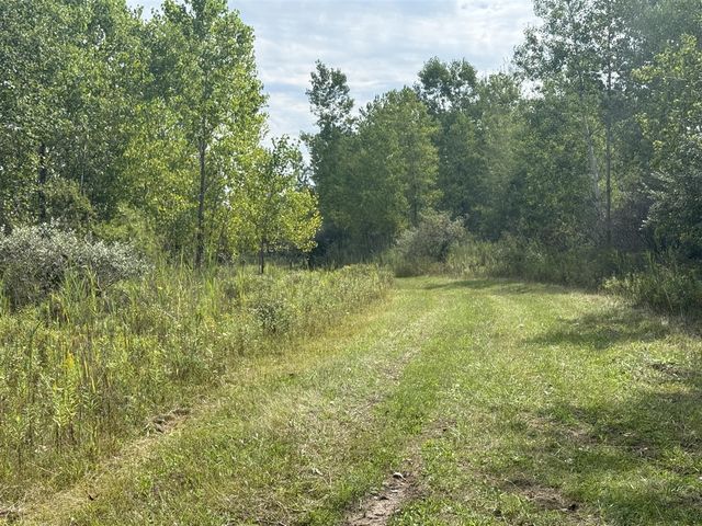 West 9086 Ankrapp Road, Columbus, MI 48063
