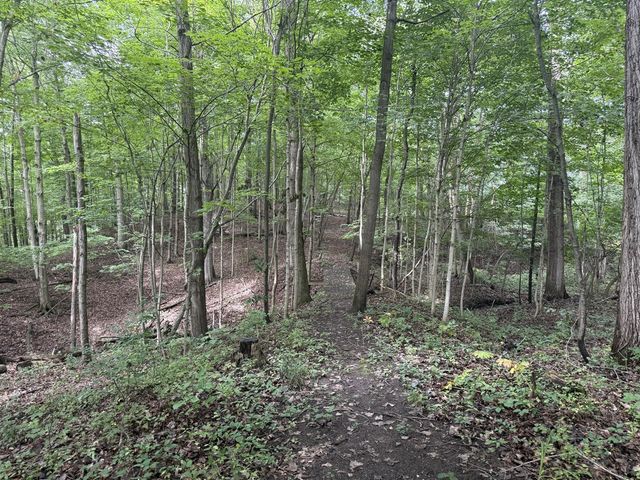 West 9086 Ankrapp Road, Columbus, MI 48063