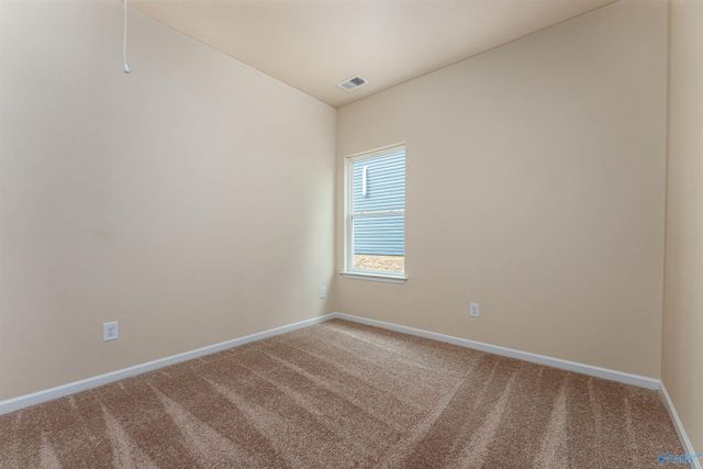 1128 Tanger Glen Trail NW, Harvest, AL 35749