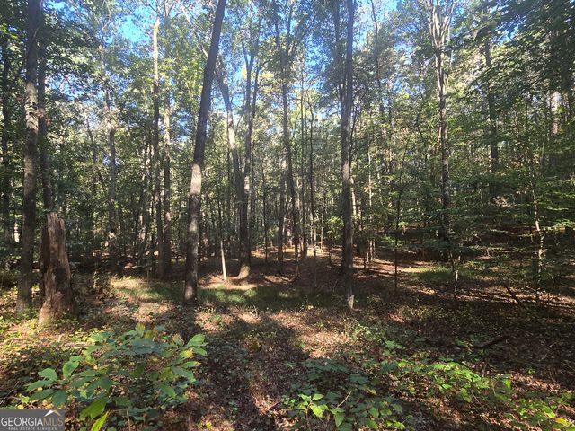 1504 Academy Church Road, Jefferson, GA 30549