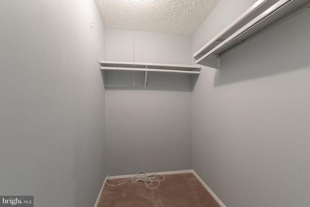 8334 WIND FALL RD, Springfield, VA 22153