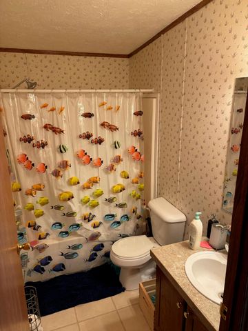 3811 State Route 137, Elk Creek, MO 65464