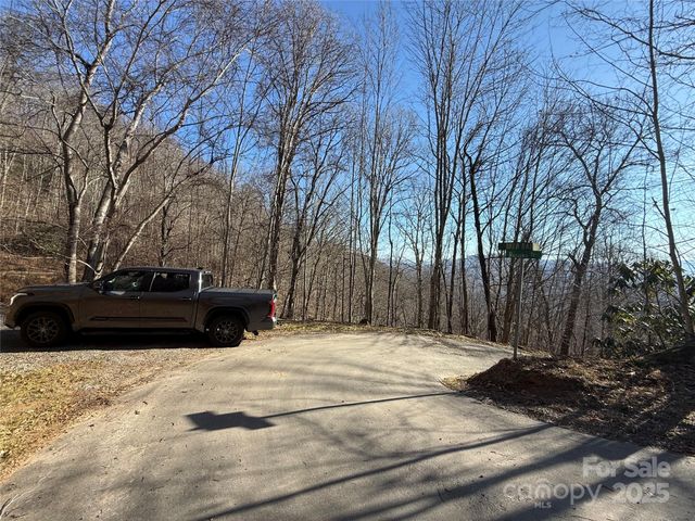 Lot 28 Bernies Trail 28, Waynesville, NC 28785
