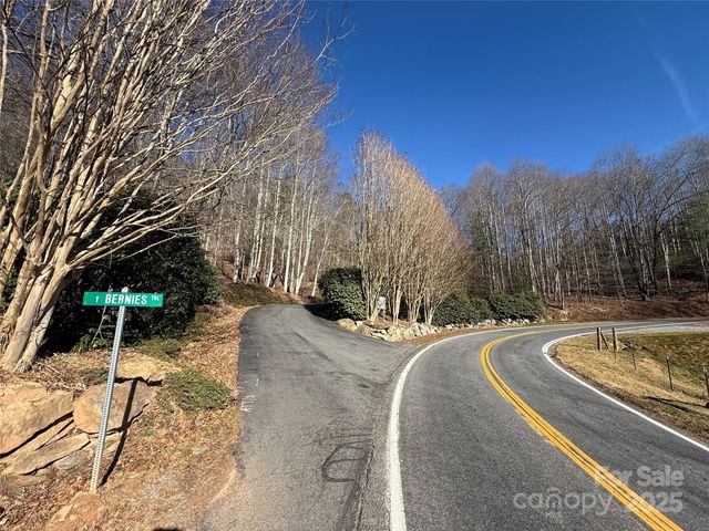 Lot 28 Bernies Trail 28, Waynesville, NC 28785