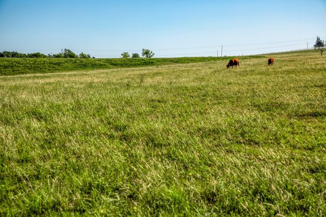 5005 Fuchs Rd, Burton, TX 77835