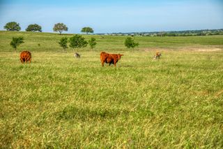 5005 Fuchs Rd, Burton, TX 77835