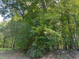 V/L Wildwood Drive, Gladwin, MI 48624