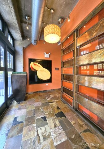 1111 W 15th Street 218, Chicago, IL 60608