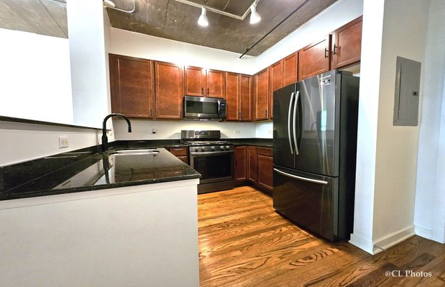 1111 W 15th Street 218, Chicago, IL 60608