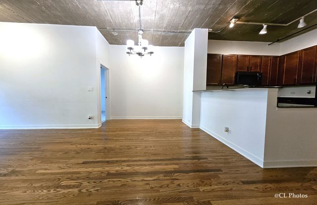 1111 W 15th Street 218, Chicago, IL 60608