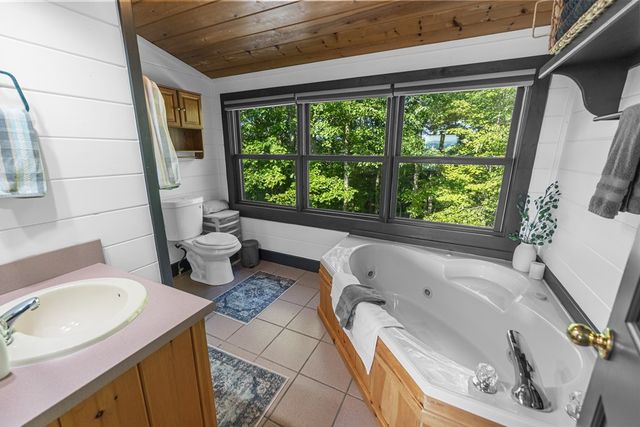 832 Scenic Mountain View Road, Blue Ridge, GA 30512