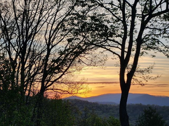 832 Scenic Mountain View Road, Blue Ridge, GA 30512